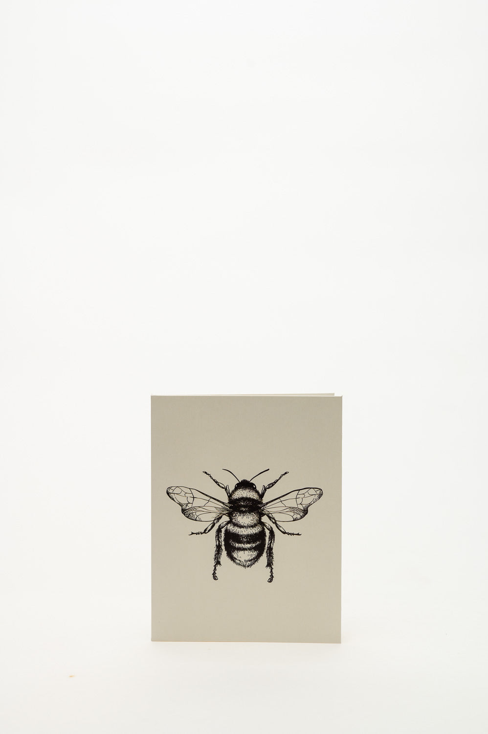 Bumble Bee - Greeting card