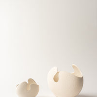 Shell Vases - White