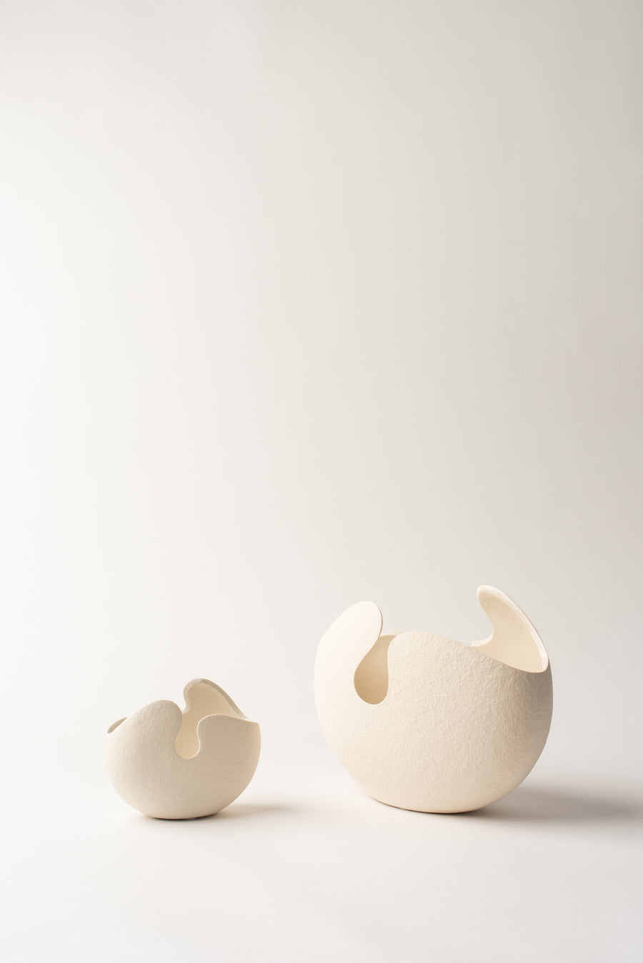 Shell Vases - White