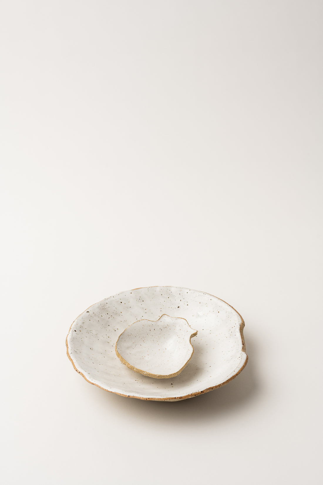 Ceramic Shell Dishes