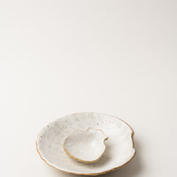 Ceramic Shell Dishes